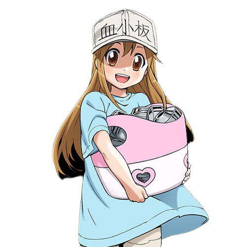 Cells at Work!